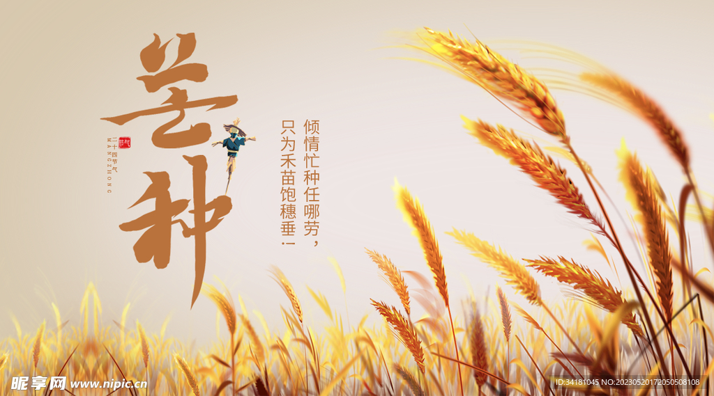 芒种24节气