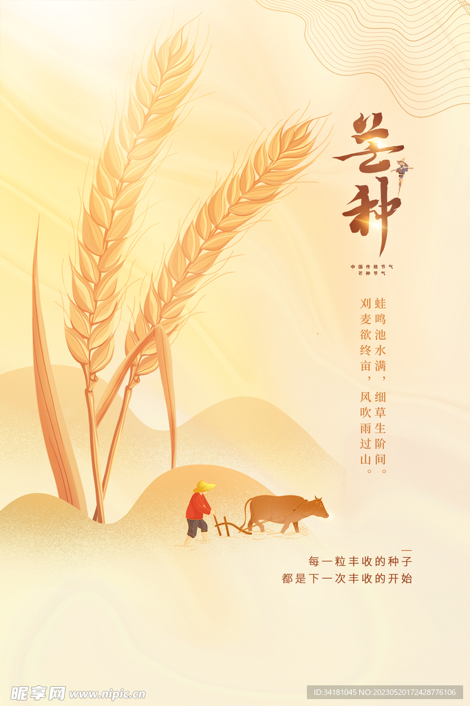芒种24节气