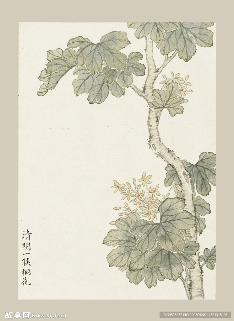 传统节气花卉
