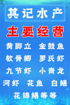 海岸线水产