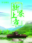 新茶上市