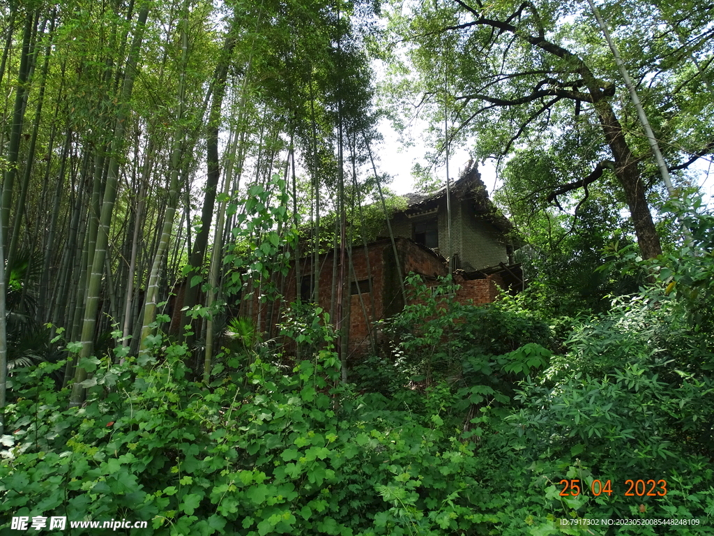 竹林小屋