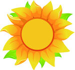 太阳花教育培训班