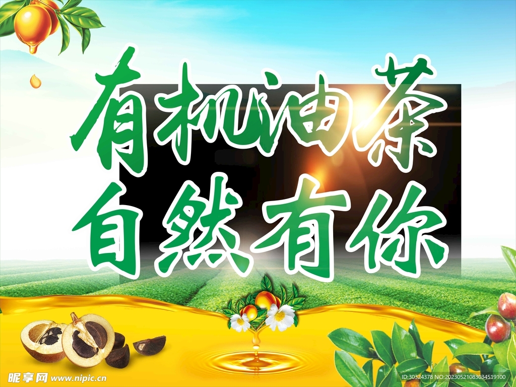 油茶绿色海报展板