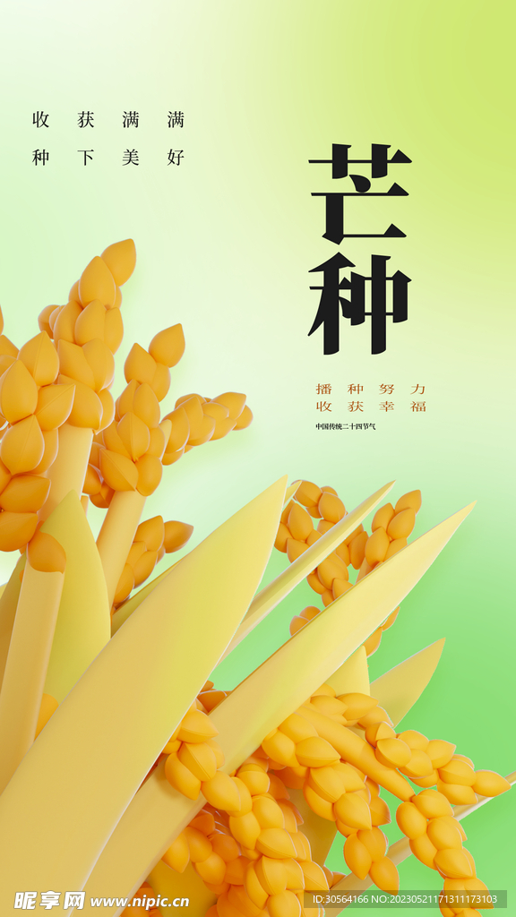 芒种