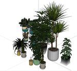 盆载植物模型