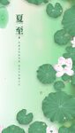 夏至海报
