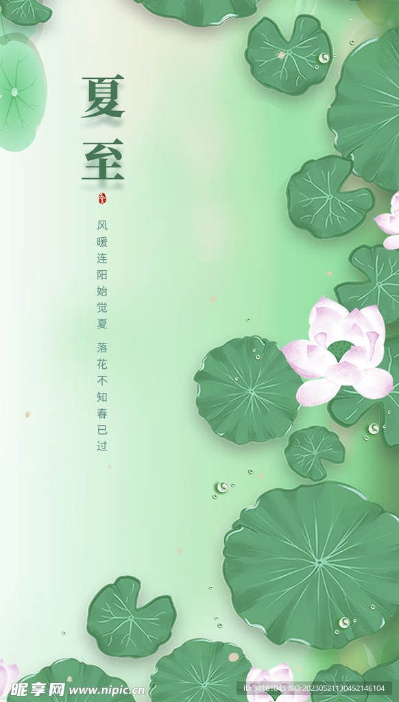 夏至海报