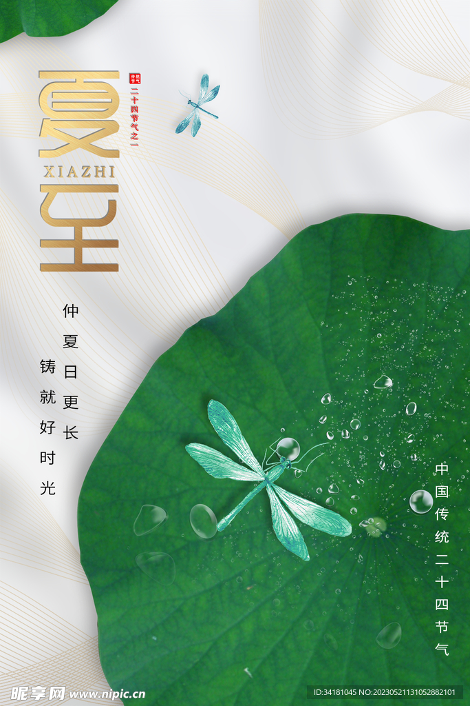 夏至海报