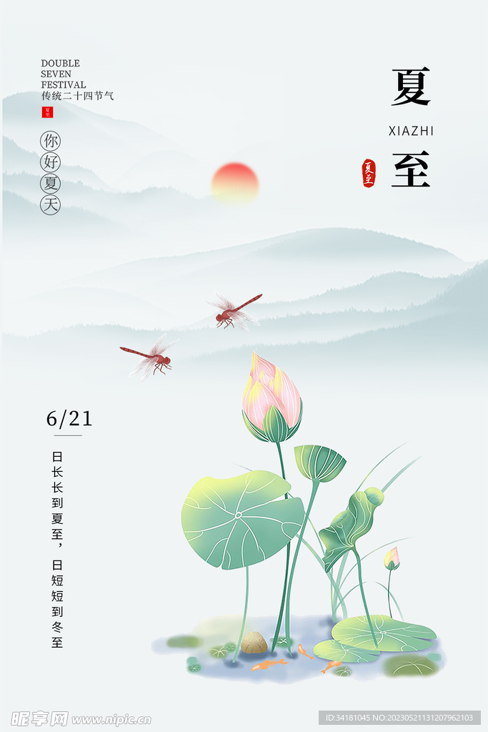 夏至荷花
