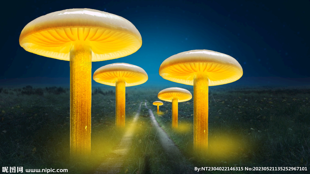 发光的蘑菇