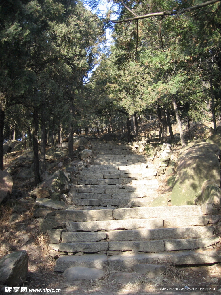 冬日泰山石条路