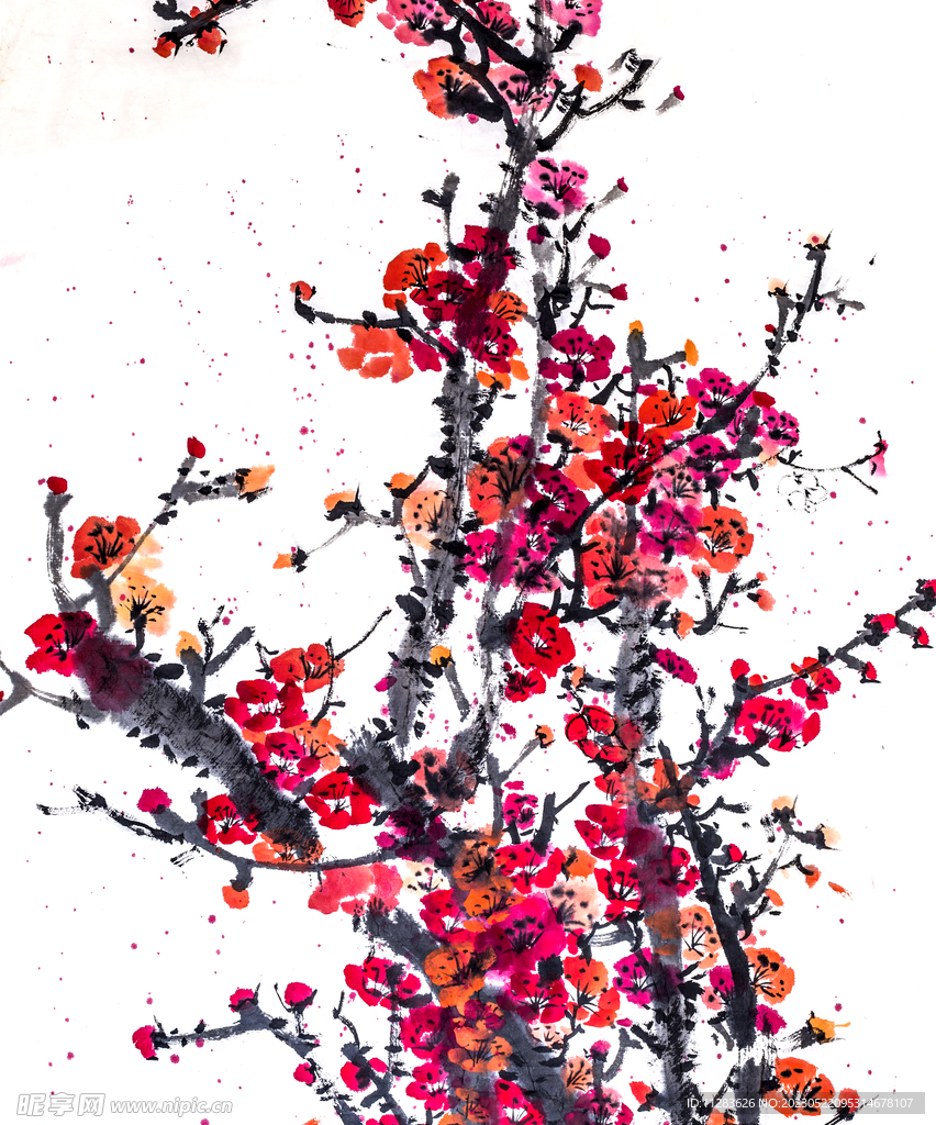 国画梅花