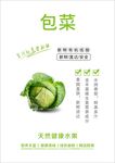 包菜