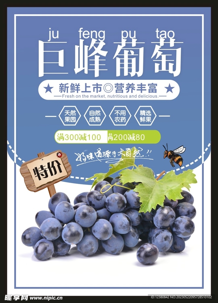 葡萄