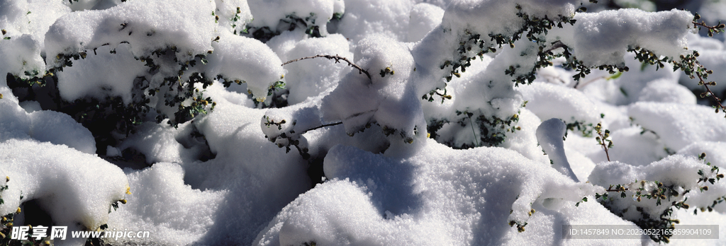 雪花