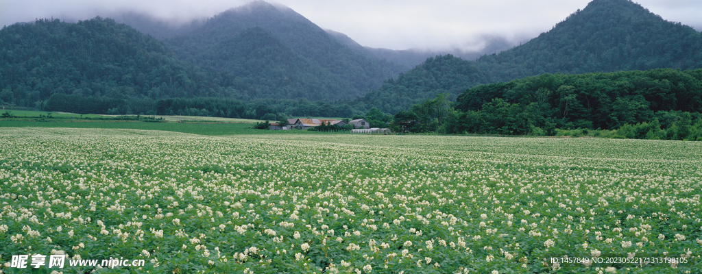 山村田园美景
