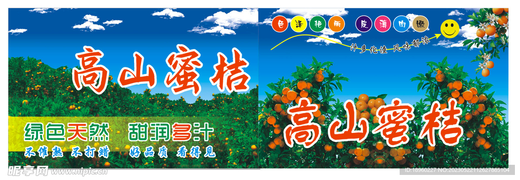 蜜桔 桔树林 广告画 单页 