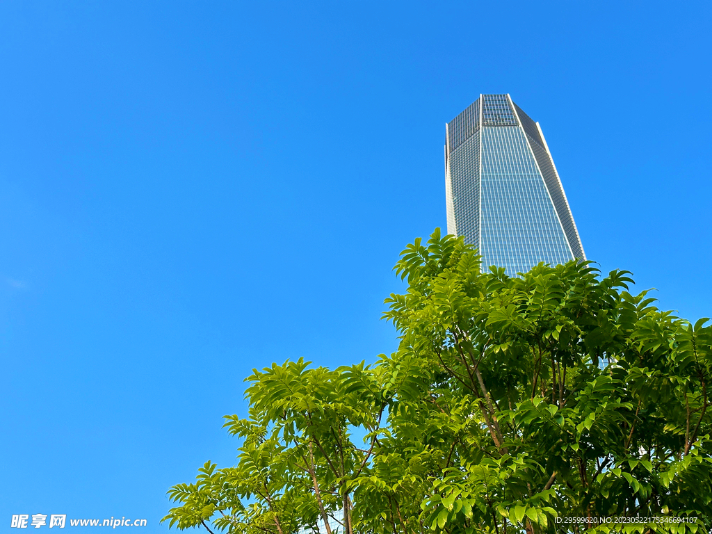 夏日天空