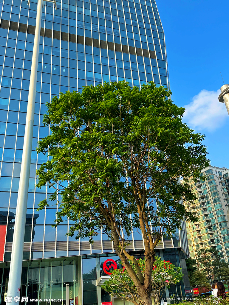 城市街拍