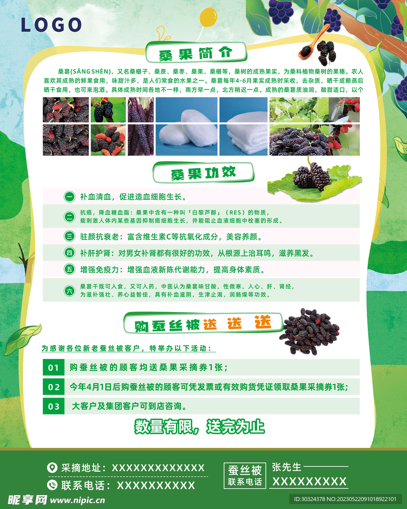 桑果介绍