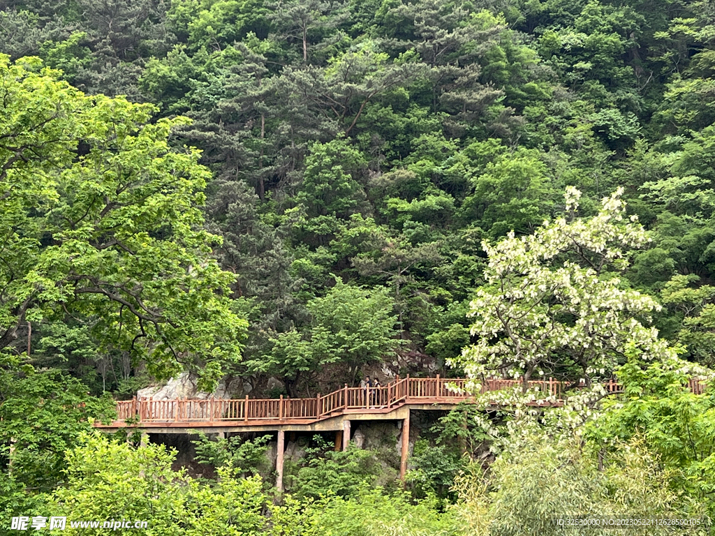 山间小道