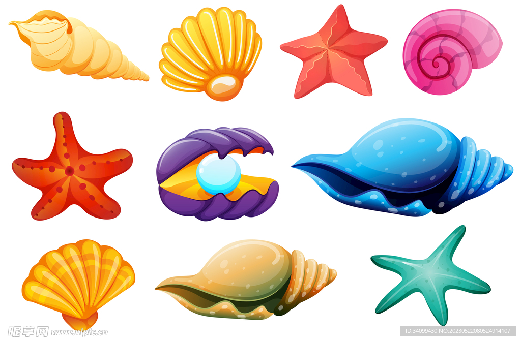 海星海螺贝壳
