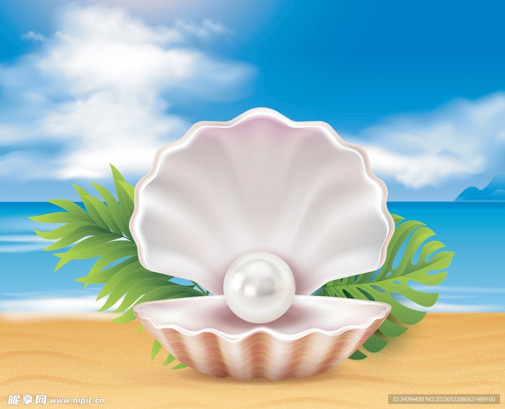 沙滩上的珍珠贝壳图片摄影图__自然风景_自然景观_摄影图库_昵图网nipic.com