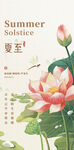 夏至荷花