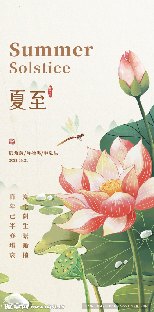 夏至荷花
