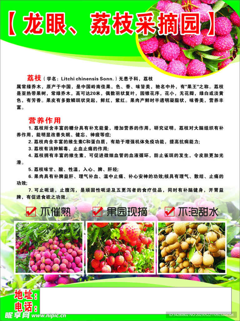 荔枝龙眼海报
