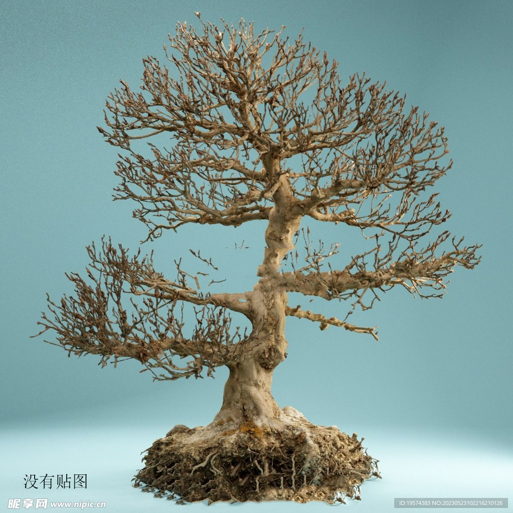  C4D模型 松树  