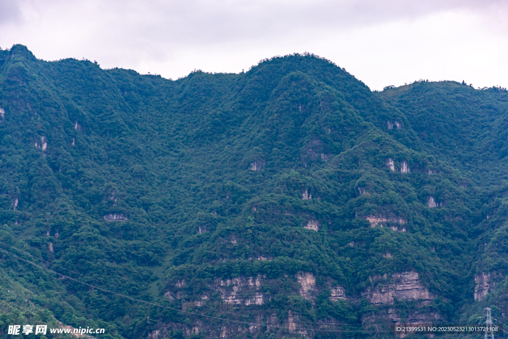 青山