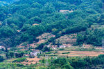 山村