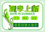 夏季上新