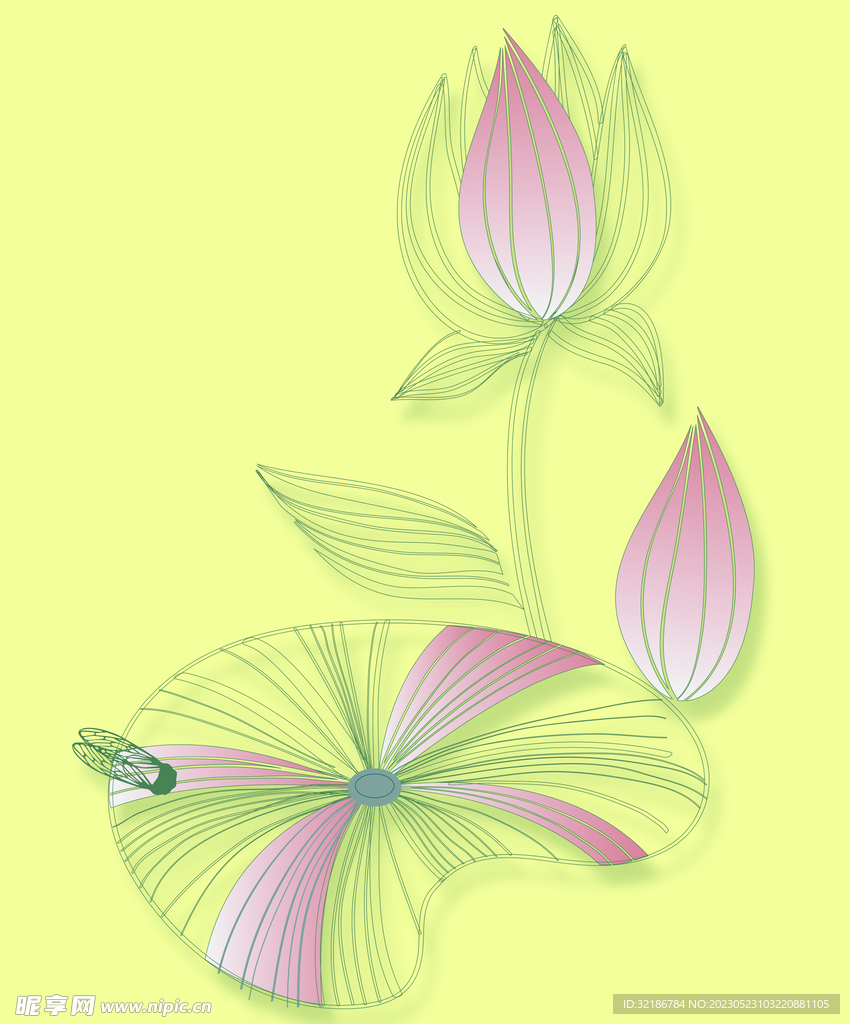 荷花