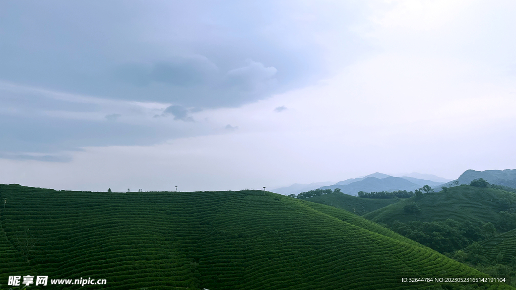 信阳茶山