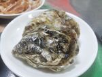 生蚝