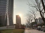 阳光
