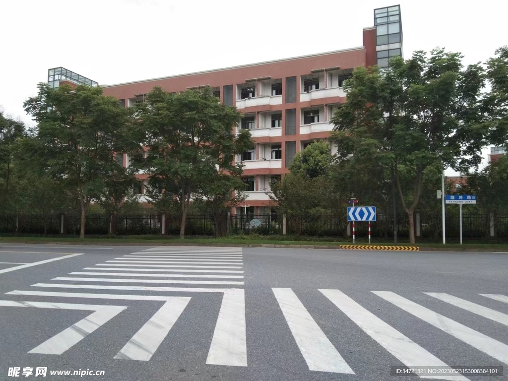 学校