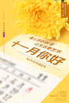 11月你好