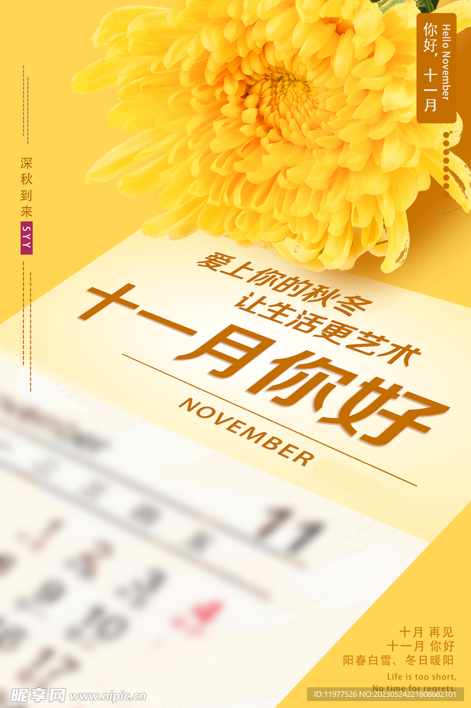 11月你好