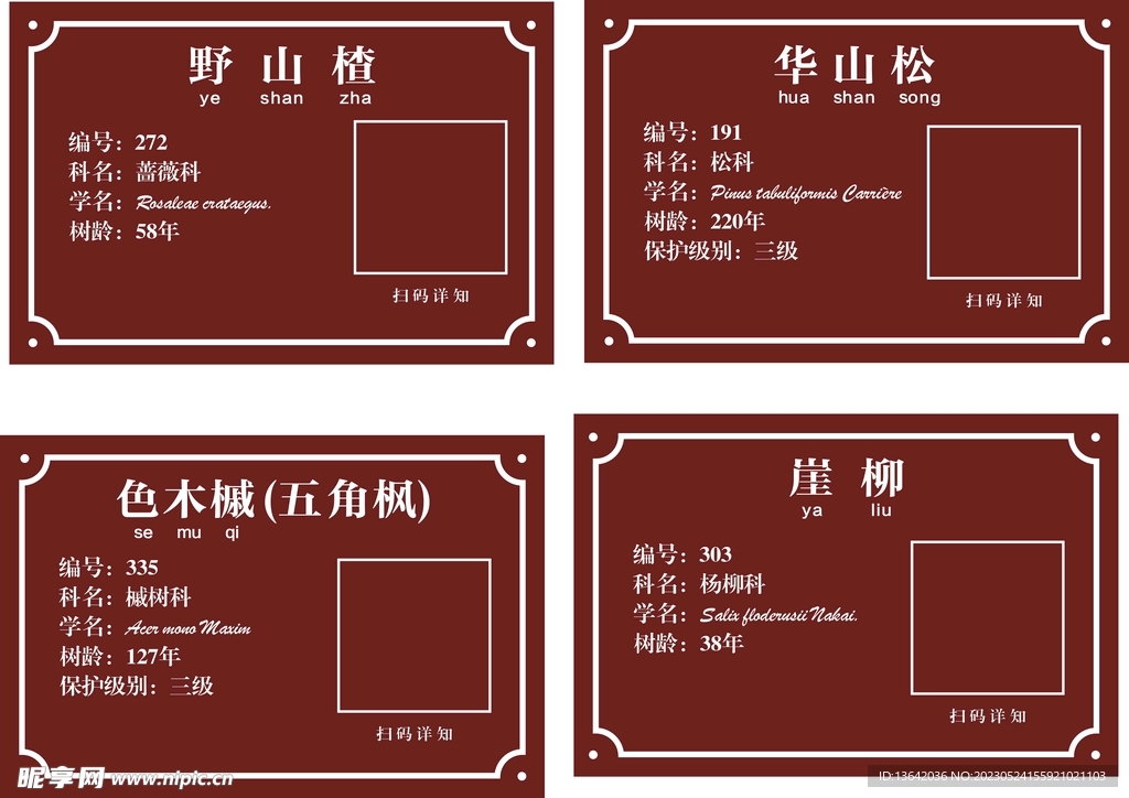 标识牌 古树