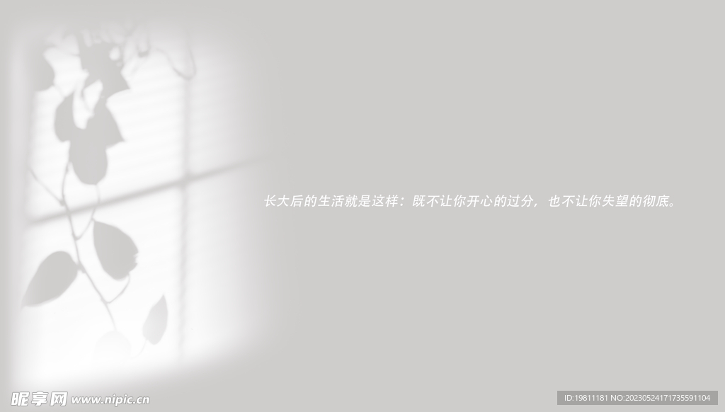 窗外剪影