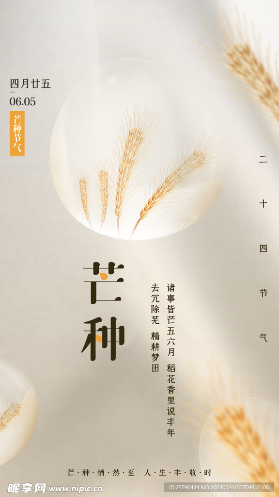 芒种