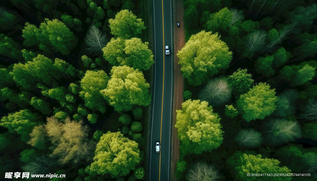 森林道路山路素材