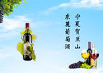 葡萄酒封面