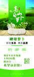 白萝卜展架画面