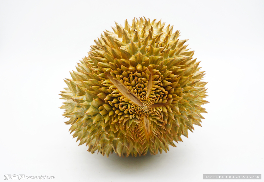 榴莲水果