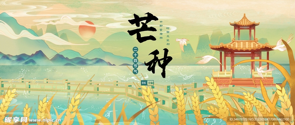 芒种节气海报